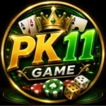 PK11 Game