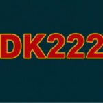 DK222 Game