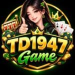 TD1947 Game