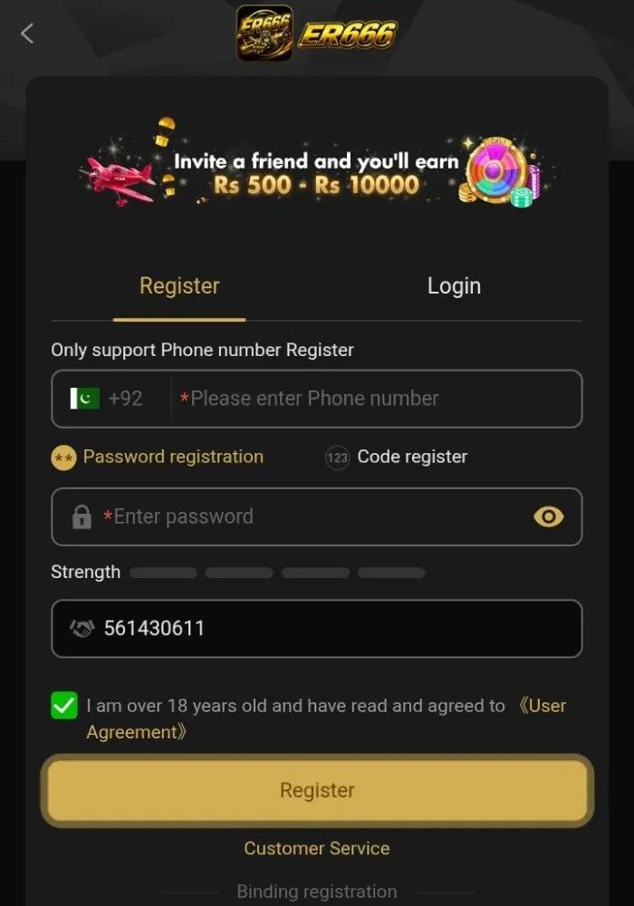 ER666 Game